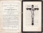 Henricus Hendrikx (overl. 13-08-1879)